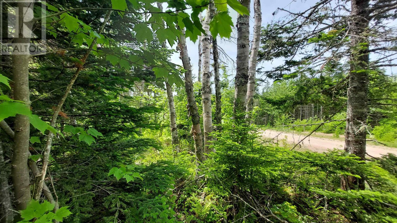 Lot 22 Highway 4, Kempt Road, Nova Scotia  B0E 1J0 - Photo 5 - 202600857