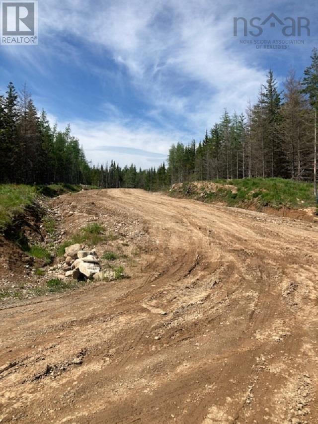 Salem Road, Enon, Nova Scotia  B1J 1W2 - Photo 4 - 202600876