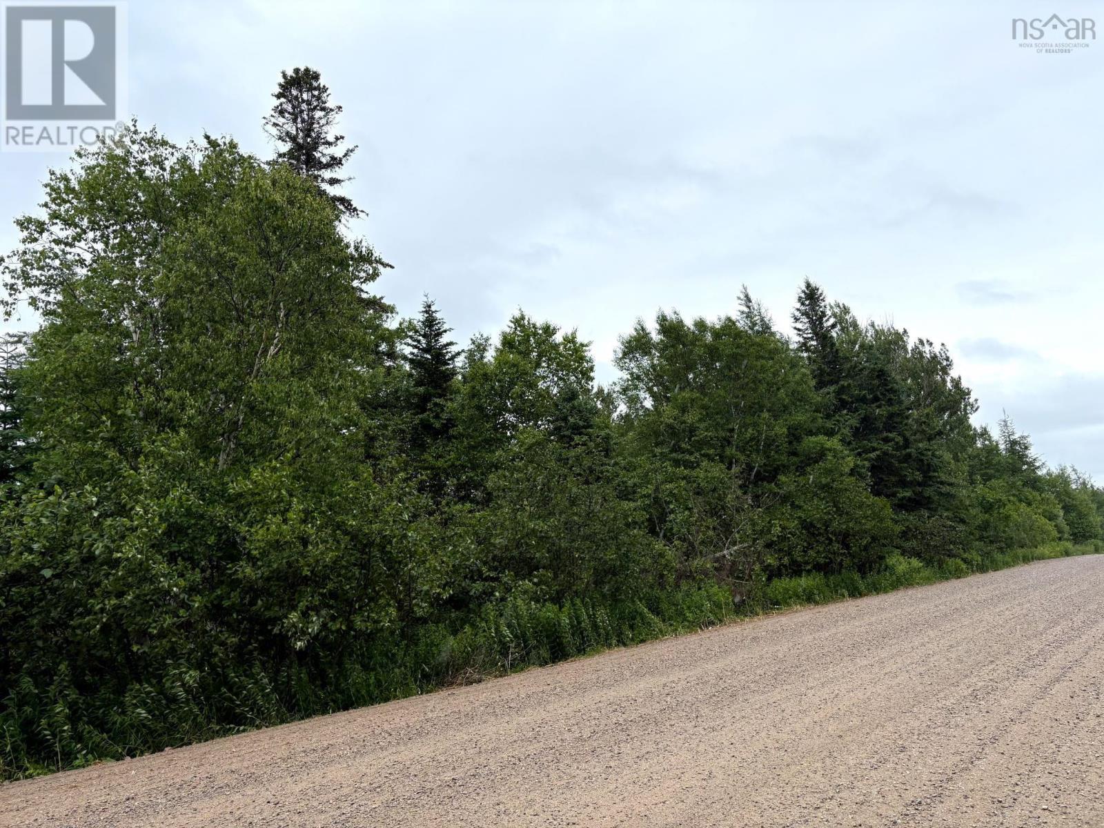 Upper Southwest Mabou Road, Glencoe Station, Nova Scotia  B0E 2W0 - Photo 2 - 202600891