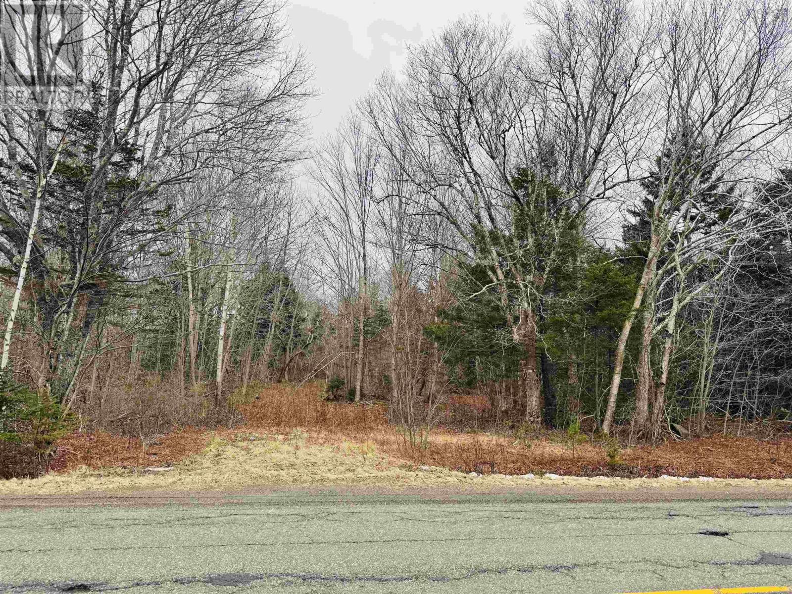 Townshipline Road, Ohio, Nova Scotia  B0W 3T0 - Photo 3 - 202600894