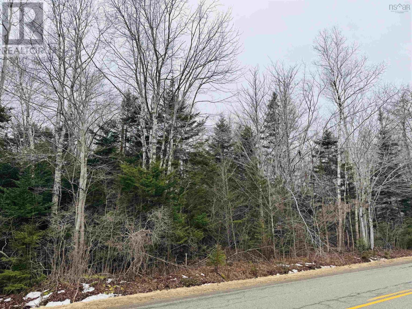 Townshipline Road, Ohio, Nova Scotia  B0W 3T0 - Photo 5 - 202600894