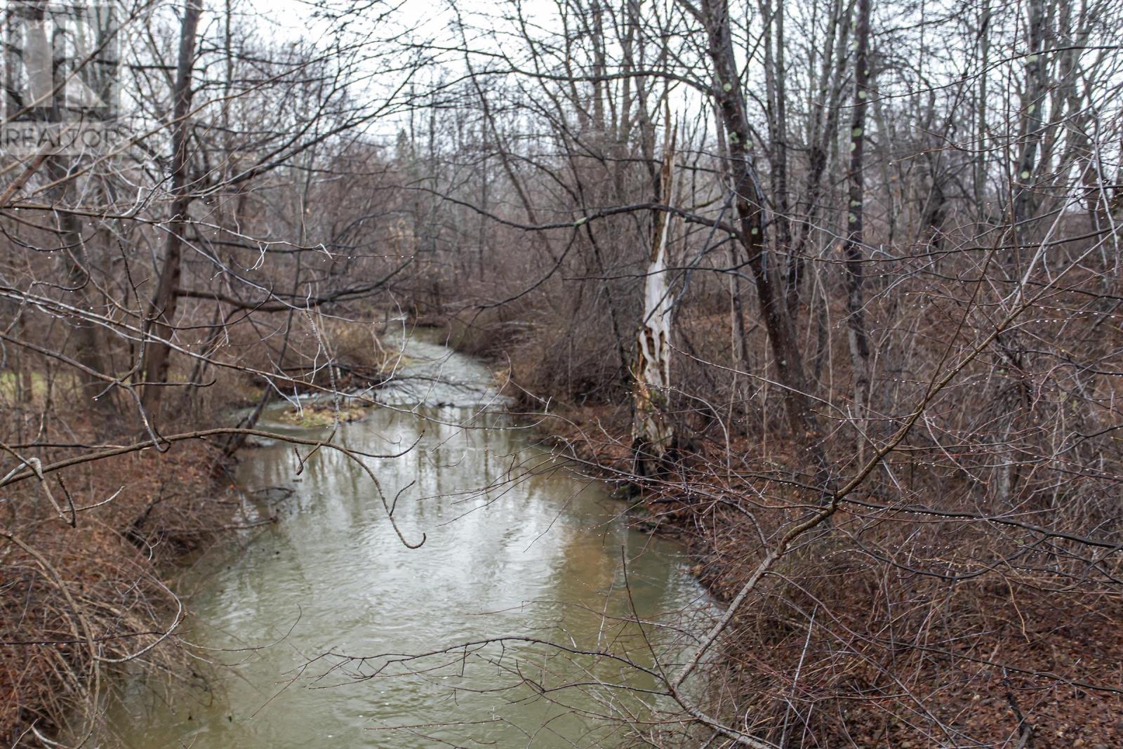 206 Main Street, Middleton, Nova Scotia  B0S 1P0 - Photo 4 - 202600939