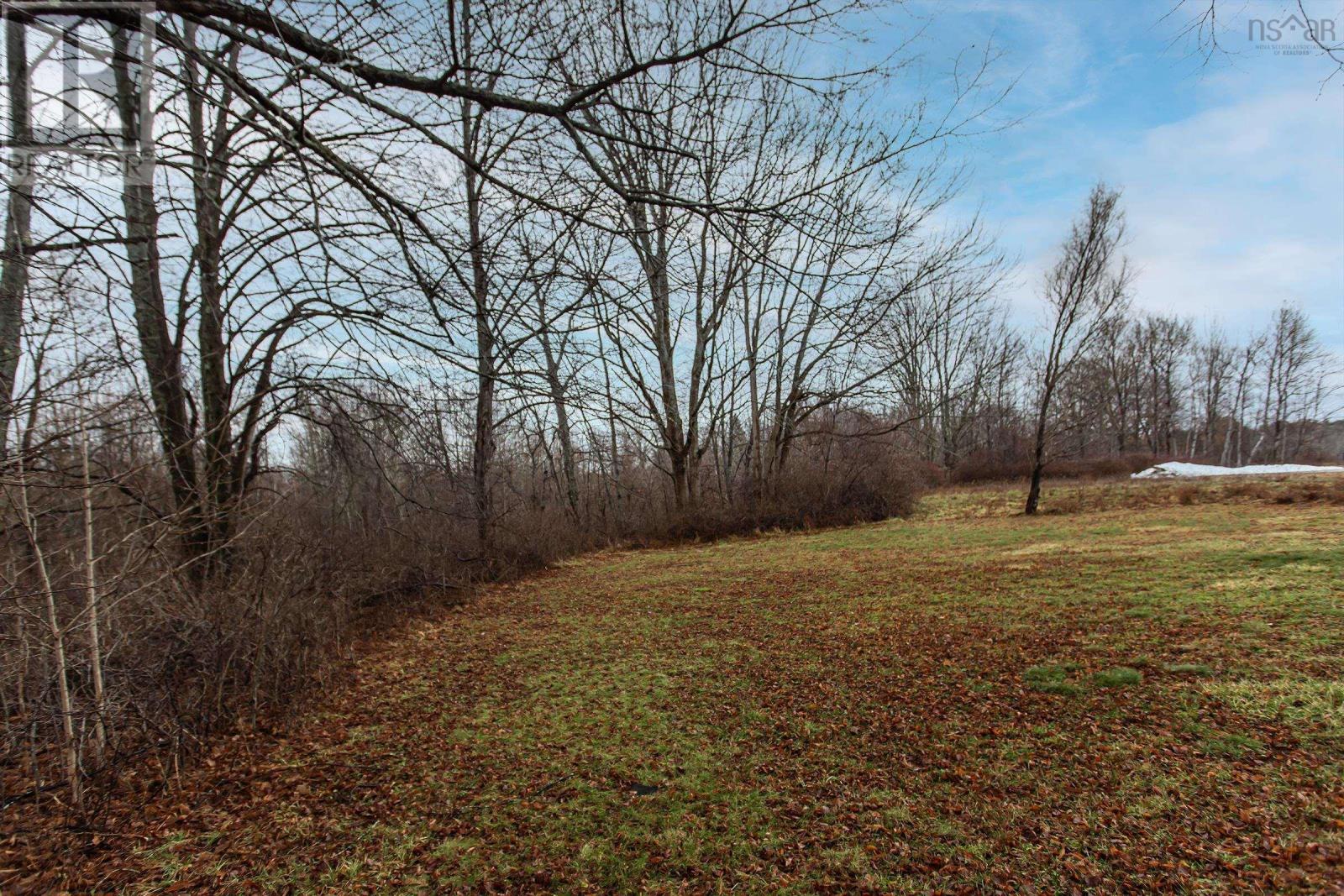 206 Main Street, Middleton, Nova Scotia  B0S 1P0 - Photo 5 - 202600939