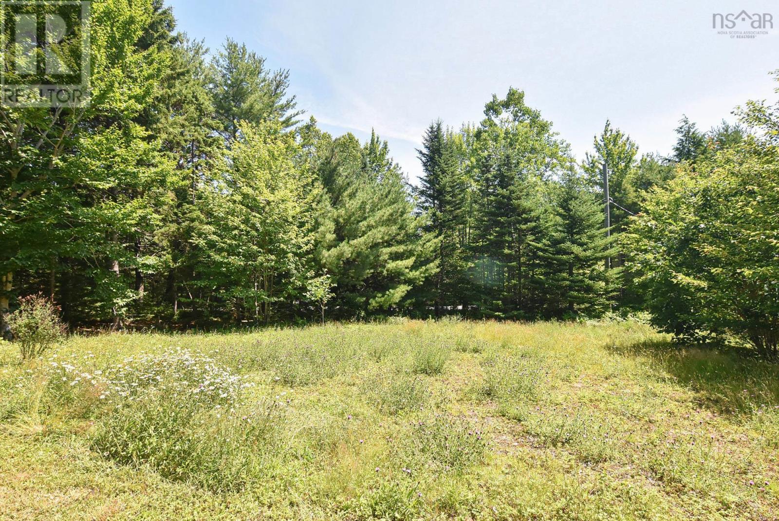 217 Hallamore Lane, Middle New Cornwall, Nova Scotia  B0J 2E0 - Photo 37 - 202601019