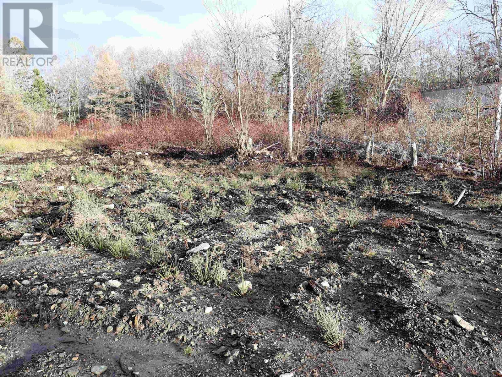 Lot 13 Stewood Drive, Howie Centre, Nova Scotia  B1L 1C6 - Photo 9 - 202601022