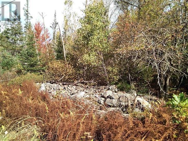 EAST CLIFFORD, east clifford, Nova Scotia