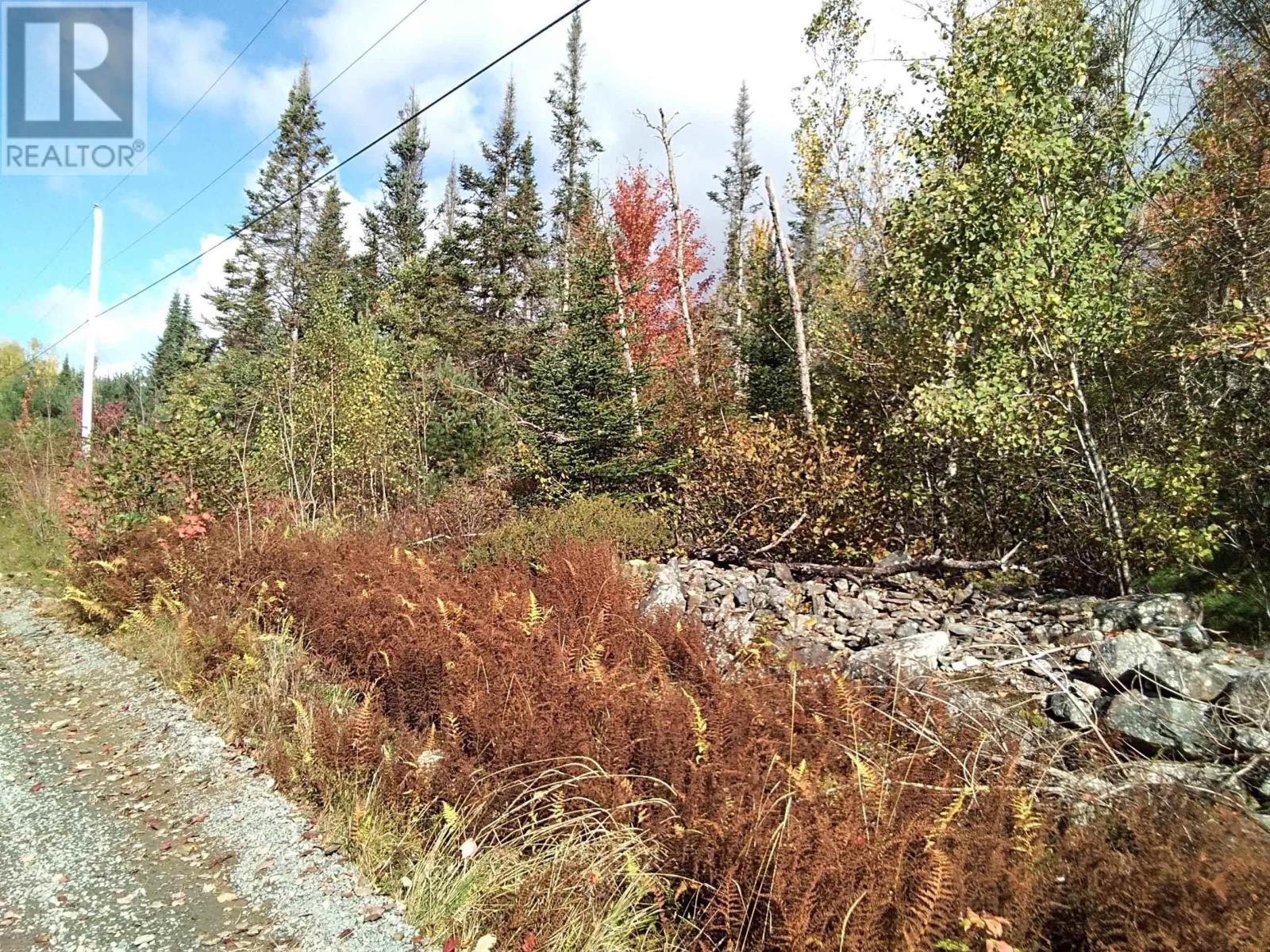 East Clifford, East Clifford, Nova Scotia  B4V 1Y7 - Photo 2 - 202601024
