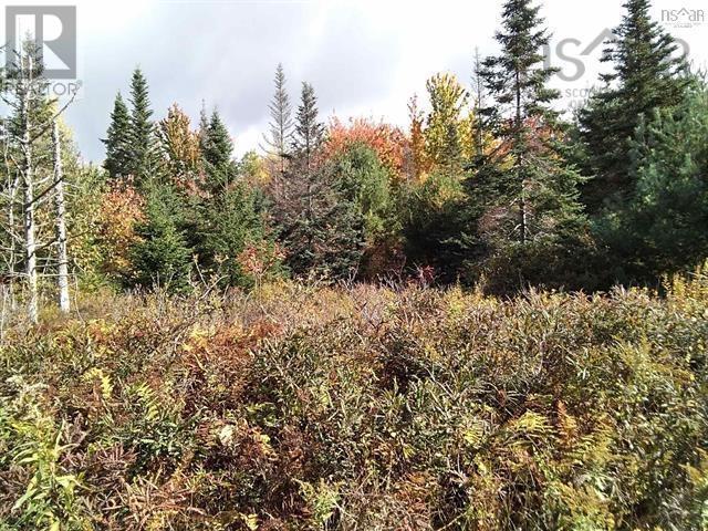 East Clifford, East Clifford, Nova Scotia  B4V 1Y7 - Photo 4 - 202601024