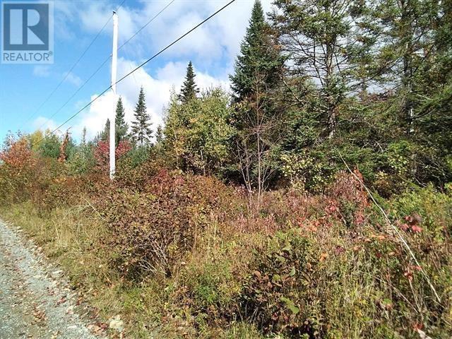 East Clifford, East Clifford, Nova Scotia  B4V 1Y7 - Photo 5 - 202601024