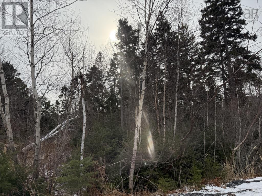 Lot 4 Ervin Road, Black Point, Nova Scotia  B0J 1B0 - Photo 7 - 202601038