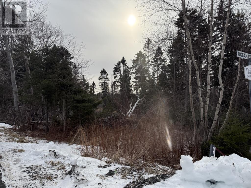 Lot 4 Ervin Road, Black Point, Nova Scotia  B0J 1B0 - Photo 8 - 202601038