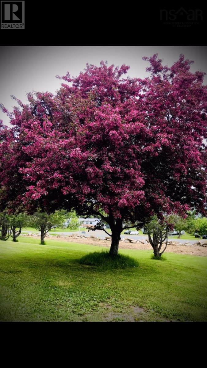 13844 Ns-4, Aulds Cove, Nova Scotia  B0H 1K0 - Photo 20 - 202601040