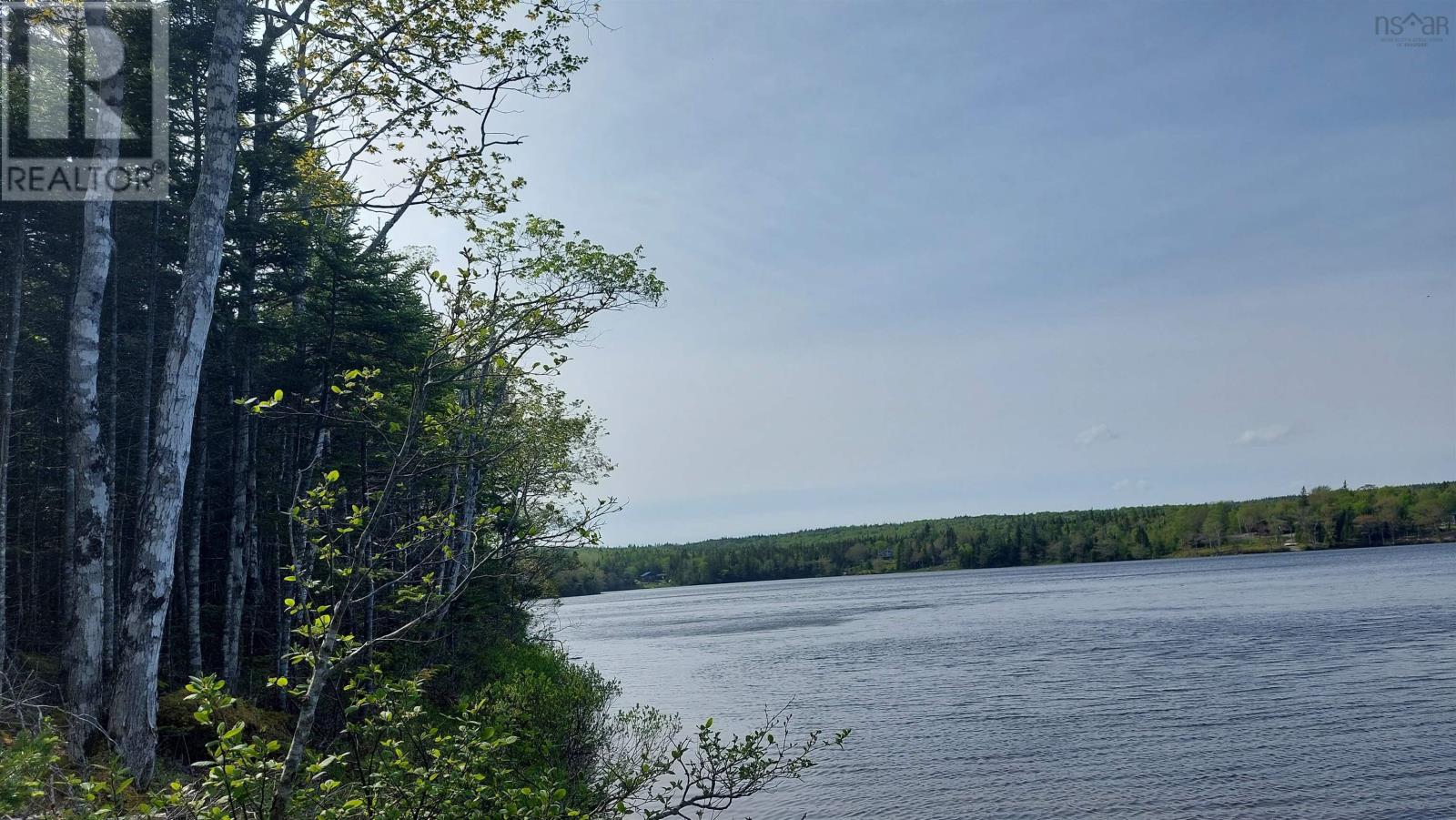 Lot 4 Highway 4, False Bay, Nova Scotia  B0E 1V0 - Photo 13 - 202601046