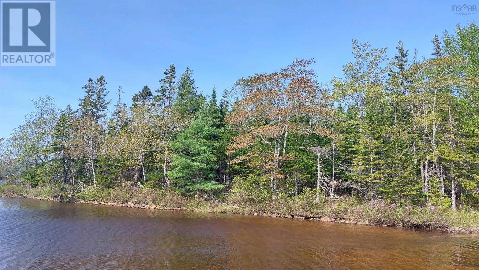 Lot 4 Highway 4, False Bay, Nova Scotia  B0E 1V0 - Photo 16 - 202601046