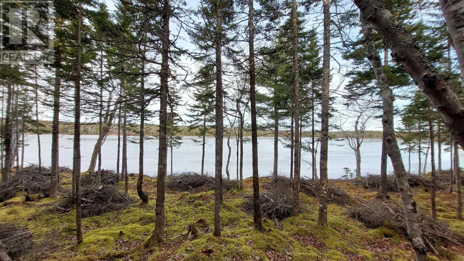 Lot 4 Highway 4, False Bay, Nova Scotia  B0E 1V0 - Photo 3 - 202601046