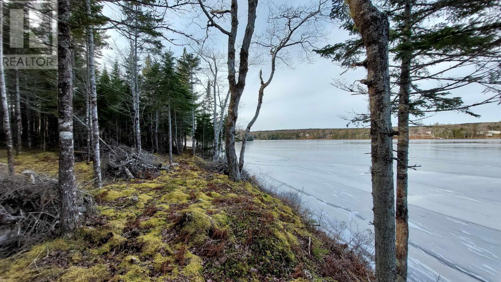 Lot 4 Highway 4, False Bay, Nova Scotia  B0E 1V0 - Photo 4 - 202601046