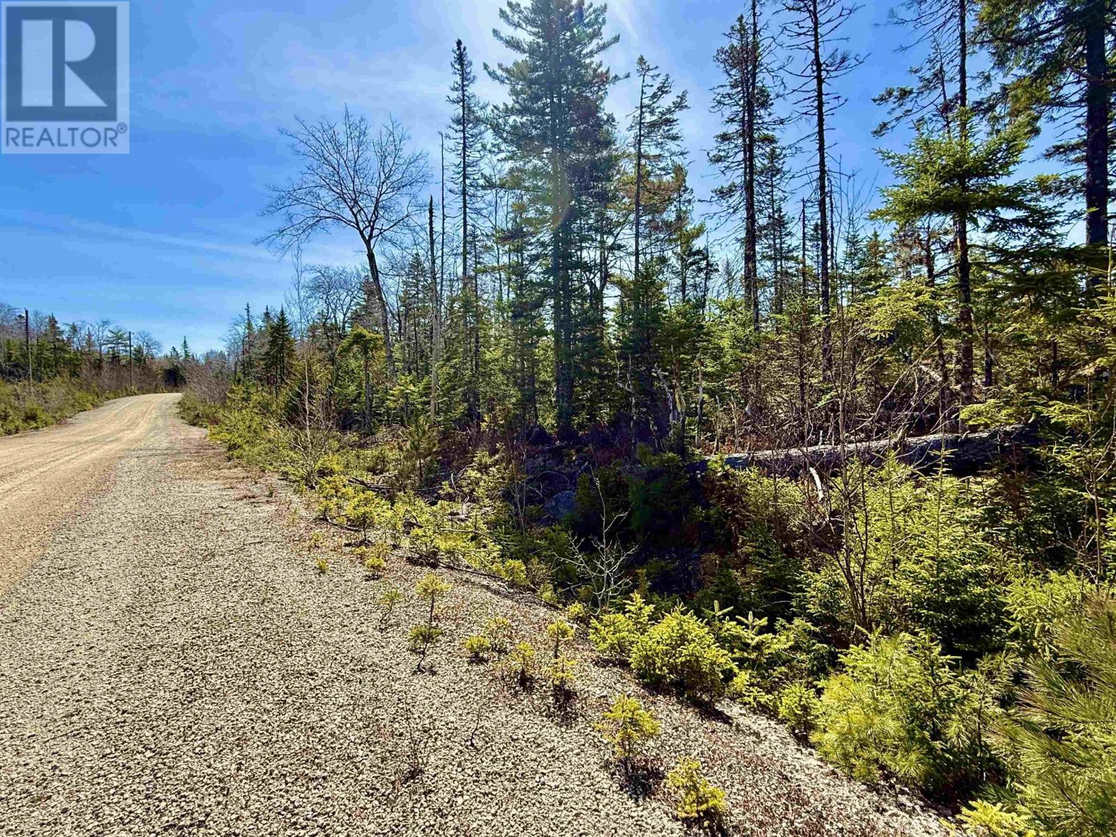 Lot 32 Dynasty Court, Sherwood, Nova Scotia  B0J 1J0 - Photo 11 - 202601053