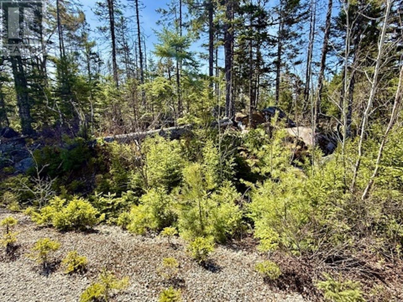 Lot 32 Dynasty Court, Sherwood, Nova Scotia  B0J 1J0 - Photo 12 - 202601053