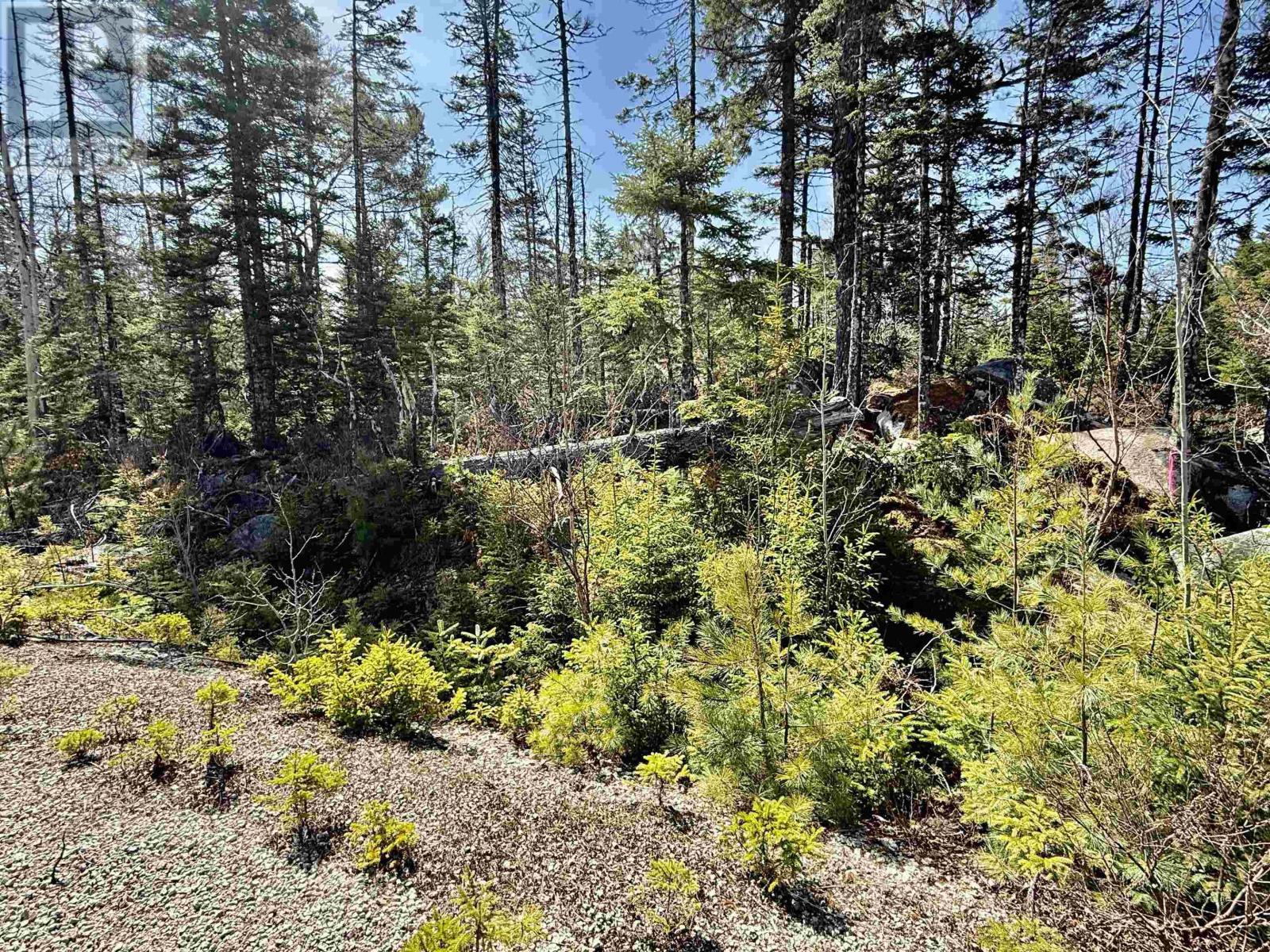 Lot 32 Dynasty Court, Sherwood, Nova Scotia  B0J 1J0 - Photo 13 - 202601053