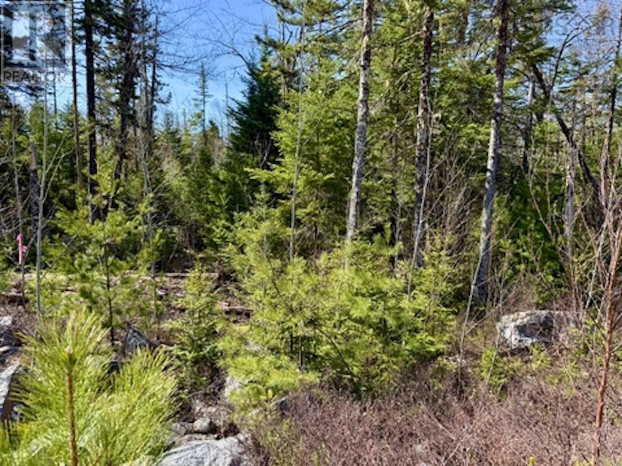 Lot 32 Dynasty Court, Sherwood, Nova Scotia  B0J 1J0 - Photo 14 - 202601053