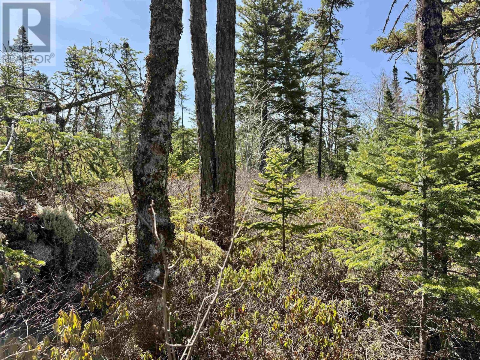 Lot 32 Dynasty Court, Sherwood, Nova Scotia  B0J 1J0 - Photo 5 - 202601053