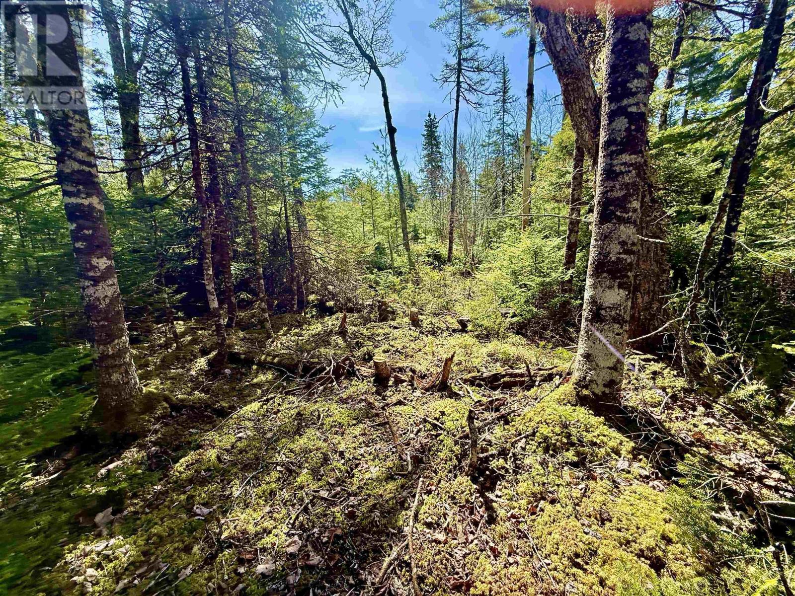 Lot 32 Dynasty Court, Sherwood, Nova Scotia  B0J 1J0 - Photo 6 - 202601053