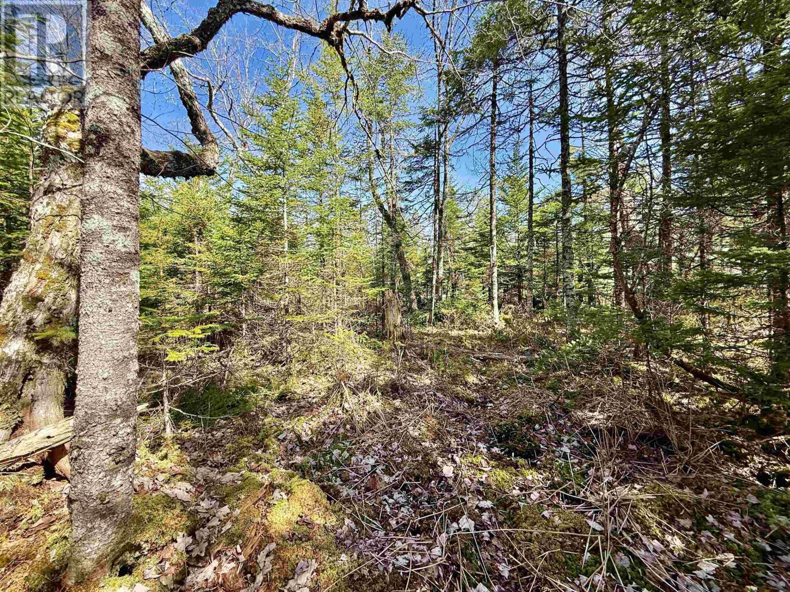 Lot 32 Dynasty Court, Sherwood, Nova Scotia  B0J 1J0 - Photo 7 - 202601053