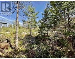 Lot 32 Dynasty Court, sherwood, Nova Scotia