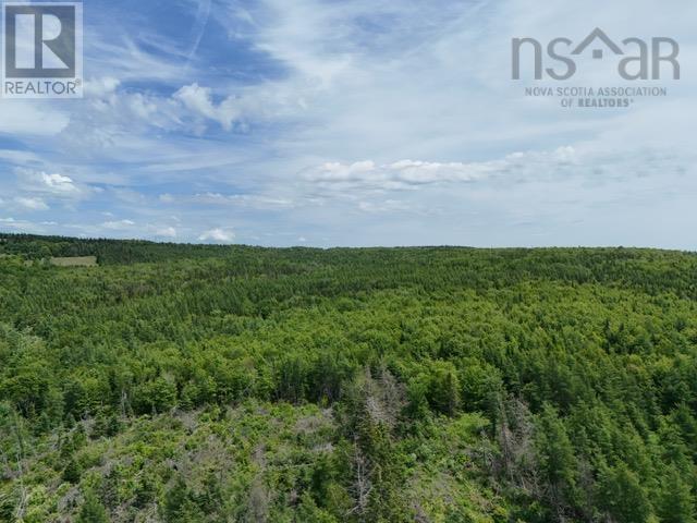 Macleod Settlement Road, Upper Southwest Mabou, Nova Scotia  B0E 2W0 - Photo 12 - 202601083