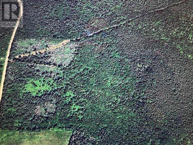 Macleod Settlement Road, Upper Southwest Mabou, Nova Scotia  B0E 2W0 - Photo 14 - 202601083