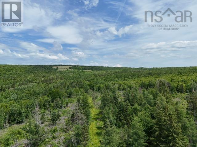 Macleod Settlement Road, Upper Southwest Mabou, Nova Scotia  B0E 2W0 - Photo 7 - 202601083