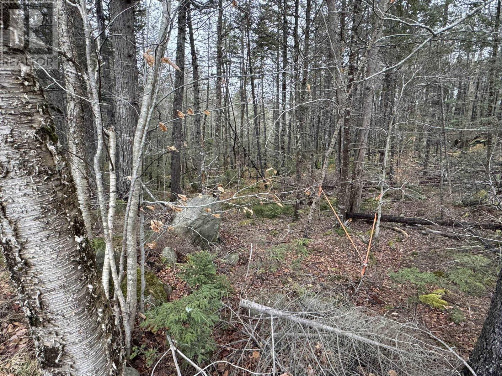 Lot 78 Thumb Cap Point, Labelle, Nova Scotia  B0T 1E0 - Photo 3 - 202601103