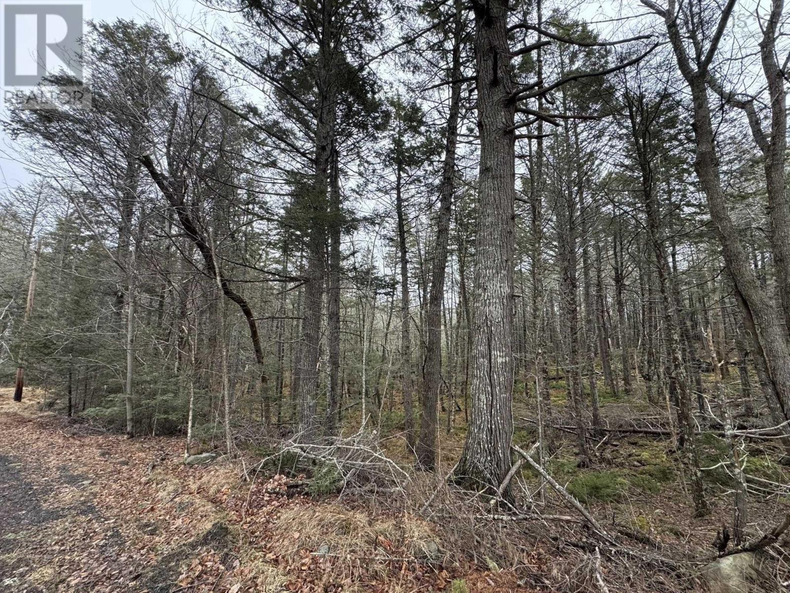 Lot 78 Thumb Cap Point, Labelle, Nova Scotia  B0T 1E0 - Photo 7 - 202601103