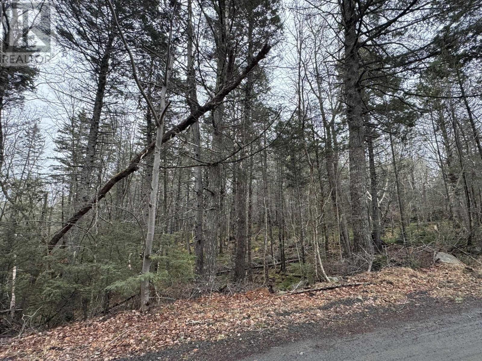 Lot 78 Thumb Cap Point, Labelle, Nova Scotia  B0T 1E0 - Photo 8 - 202601103