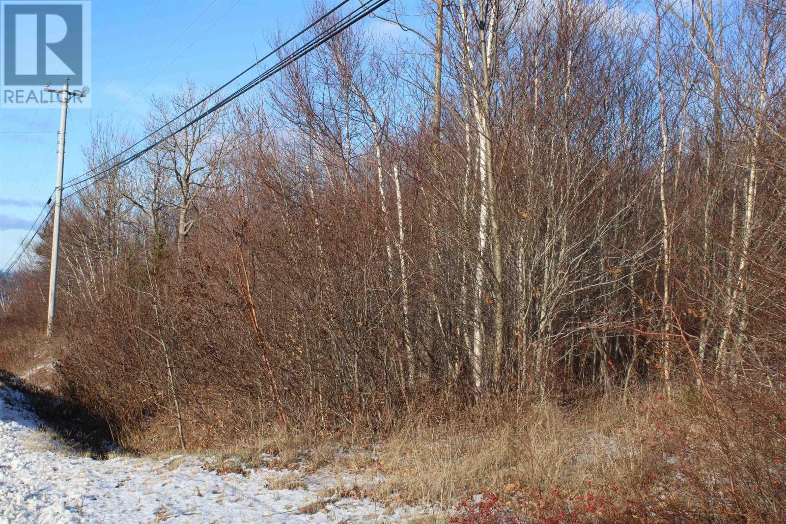 Parker Mountain Road, Parkers Cove, Nova Scotia  B0S 1A0 - Photo 10 - 202601140