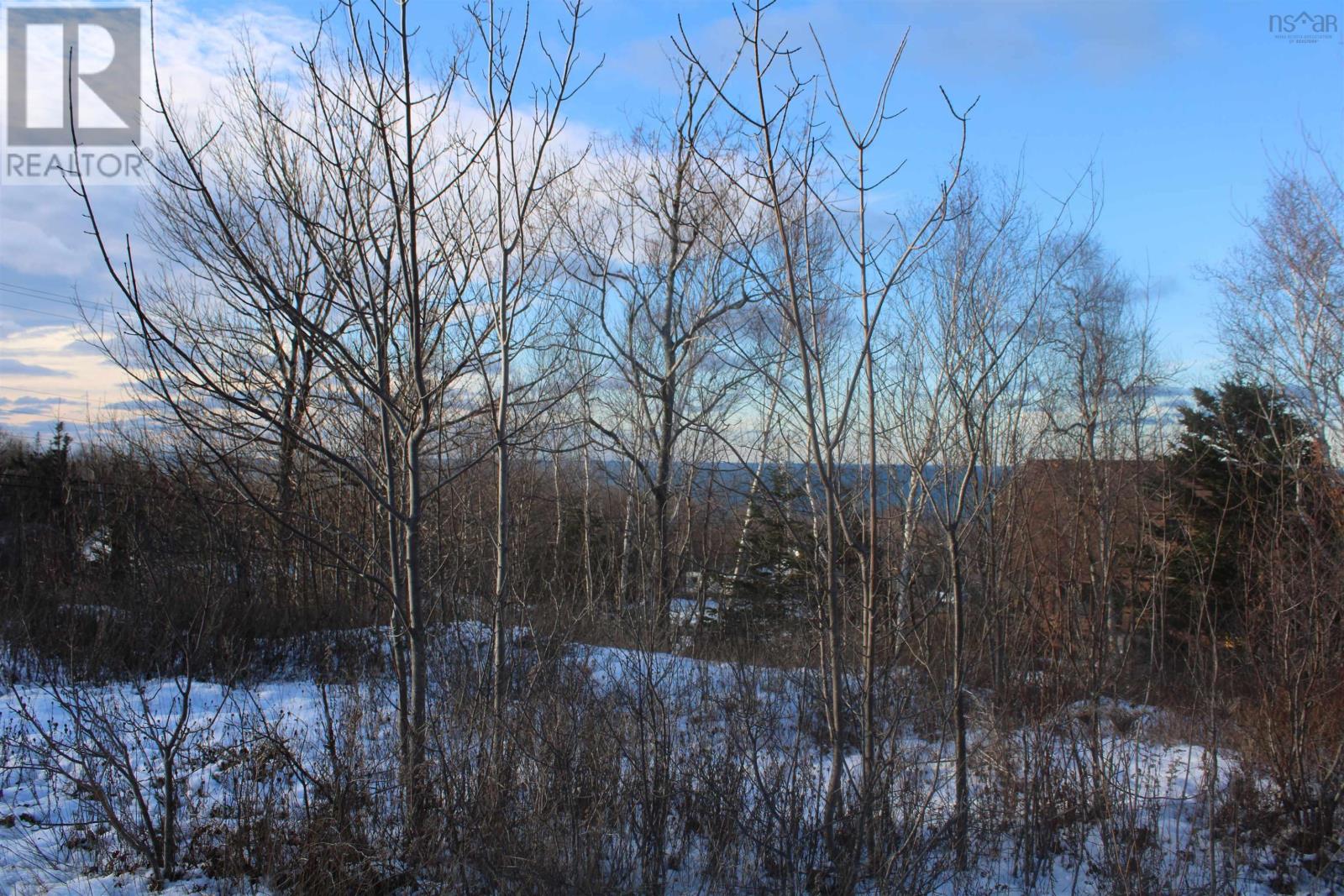 Parker Mountain Road, Parkers Cove, Nova Scotia  B0S 1A0 - Photo 4 - 202601140