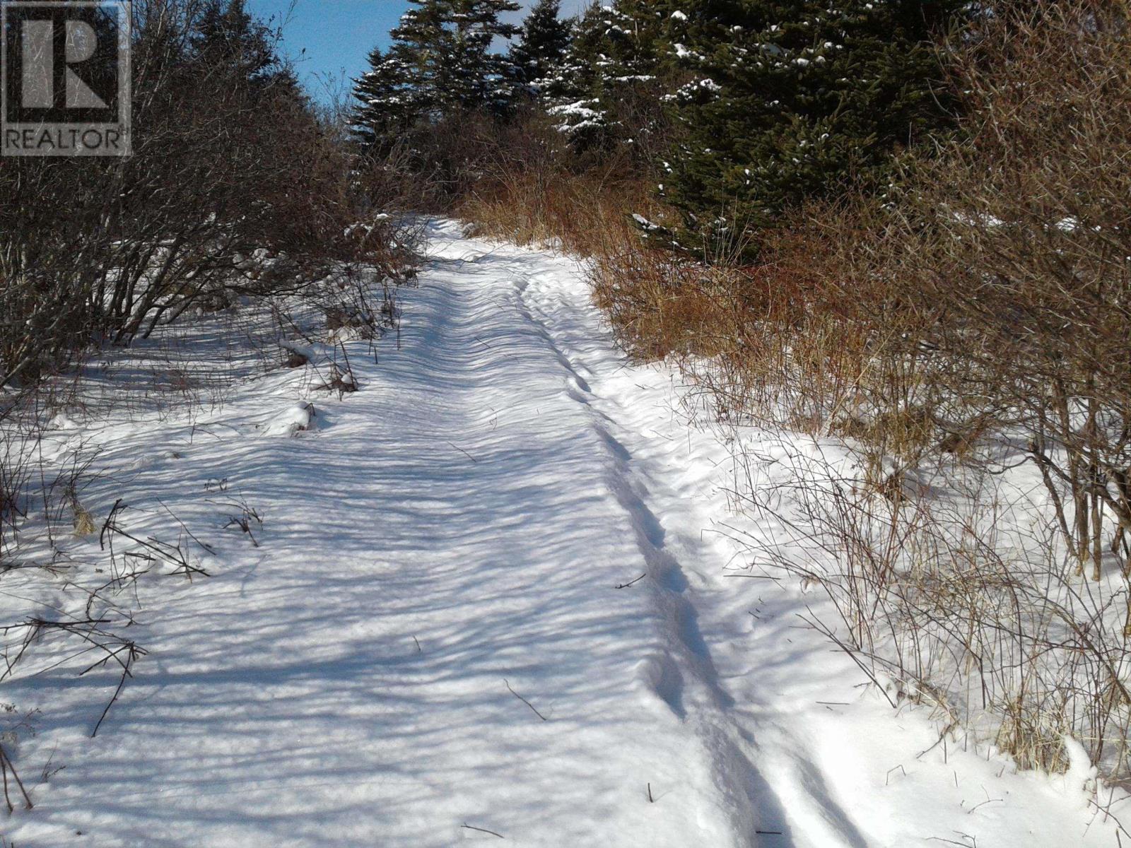 Lot Station Road, Shag Harbour, Nova Scotia  B0W 3B0 - Photo 3 - 202601183
