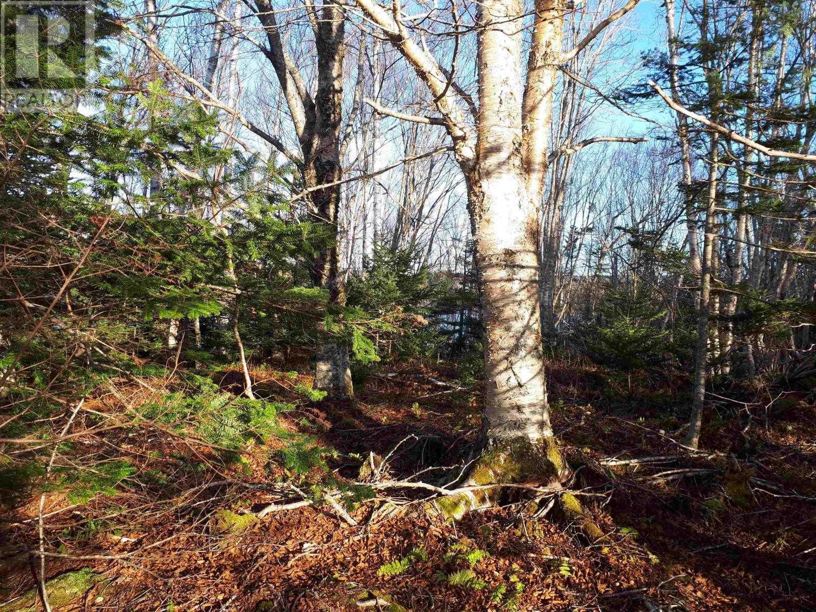 Lot 17 Torus Dr, Macnabs Cove, Nova Scotia  B0E 3B0 - Photo 3 - 202601193