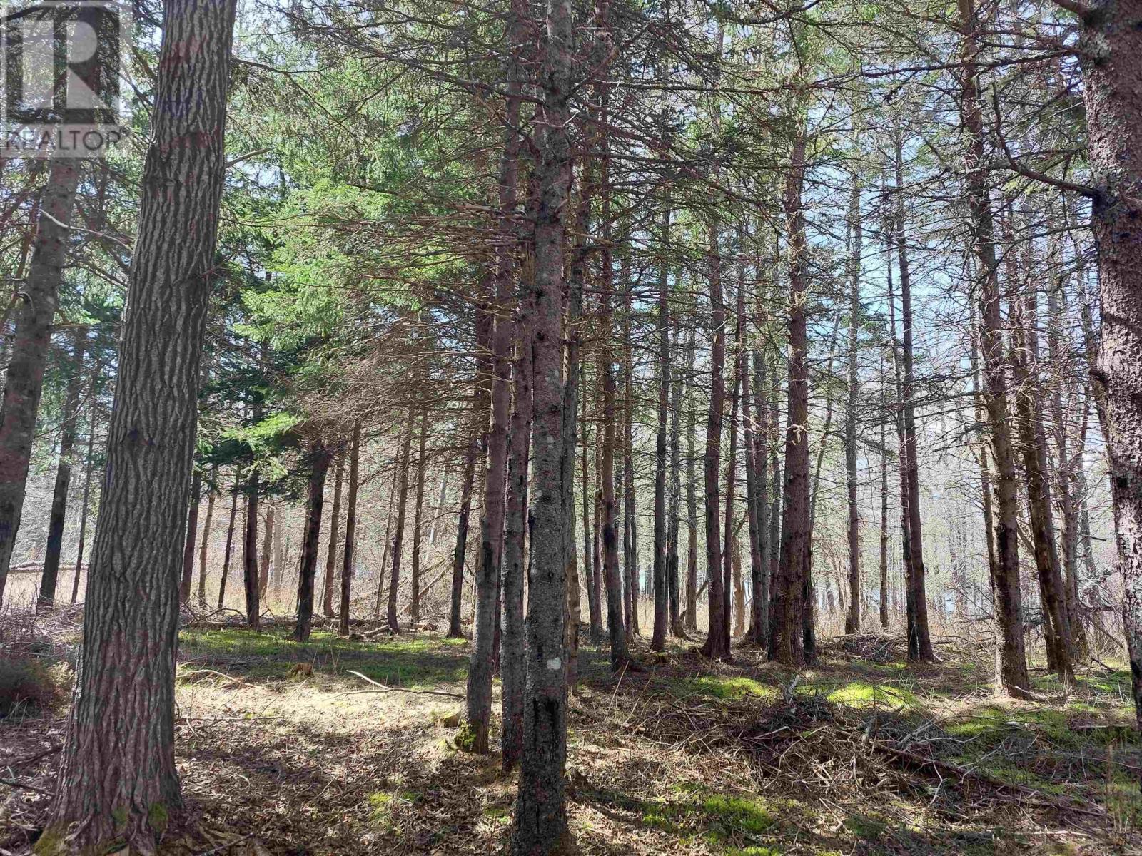 Lot 18 Torus Dr, Macnabs Cove, Nova Scotia  B0E 3B0 - Photo 7 - 202601200