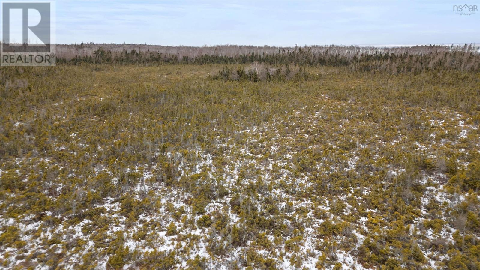 Lot 62 Acres Caribou Island Rd, Caribou Island, Nova Scotia  B0K 1H0 - Photo 13 - 202601238