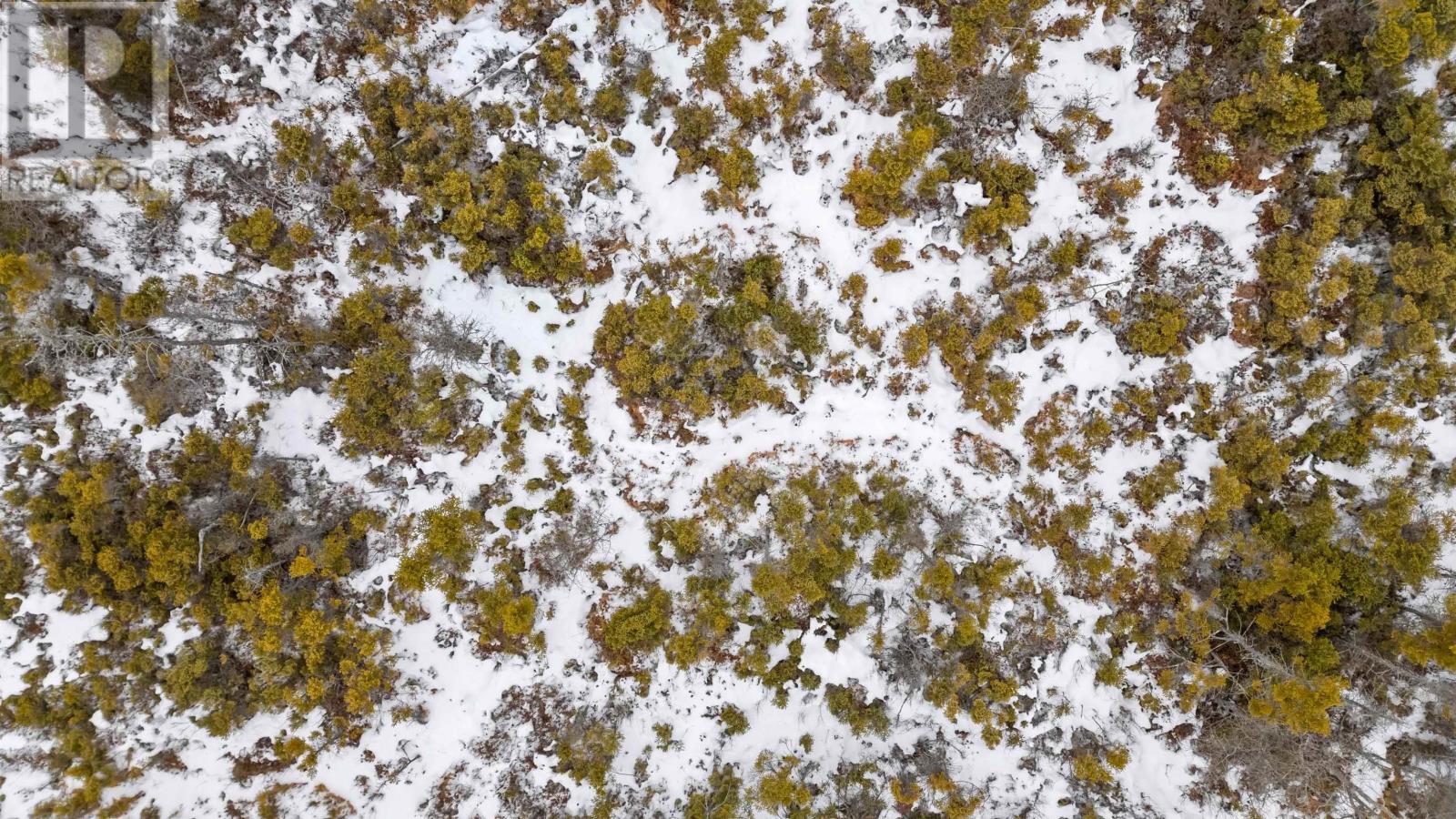 Lot 62 Acres Caribou Island Rd, Caribou Island, Nova Scotia  B0K 1H0 - Photo 14 - 202601238