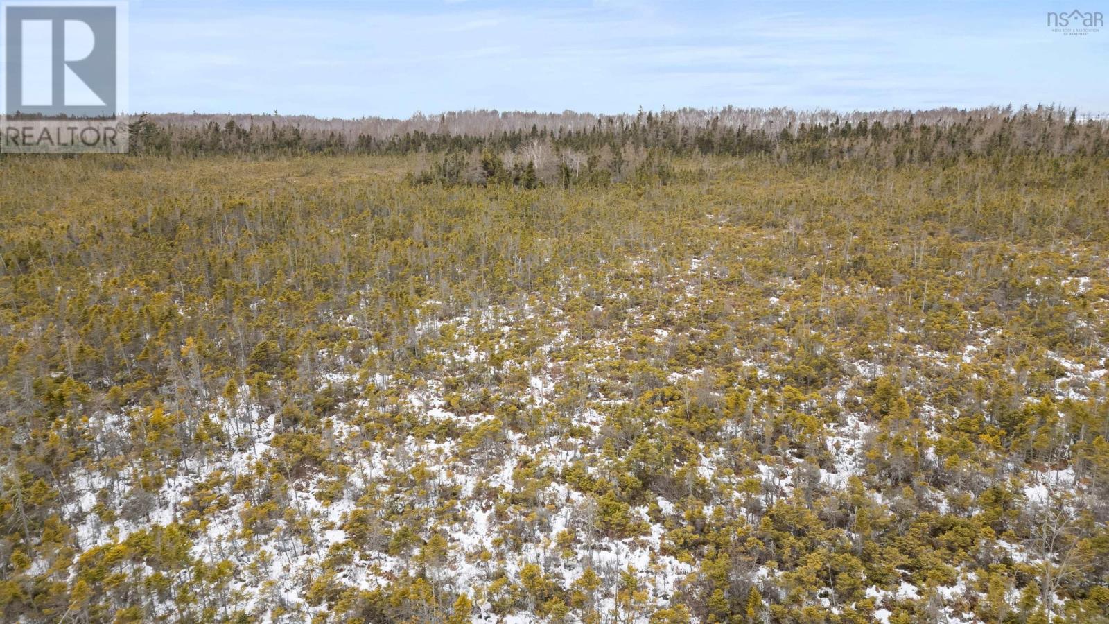 Lot 62 Acres Caribou Island Rd, Caribou Island, Nova Scotia  B0K 1H0 - Photo 15 - 202601238