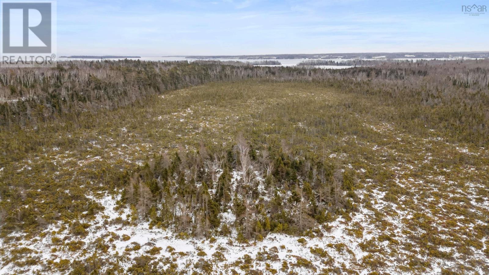 Lot 62 Acres Caribou Island Rd, Caribou Island, Nova Scotia  B0K 1H0 - Photo 18 - 202601238
