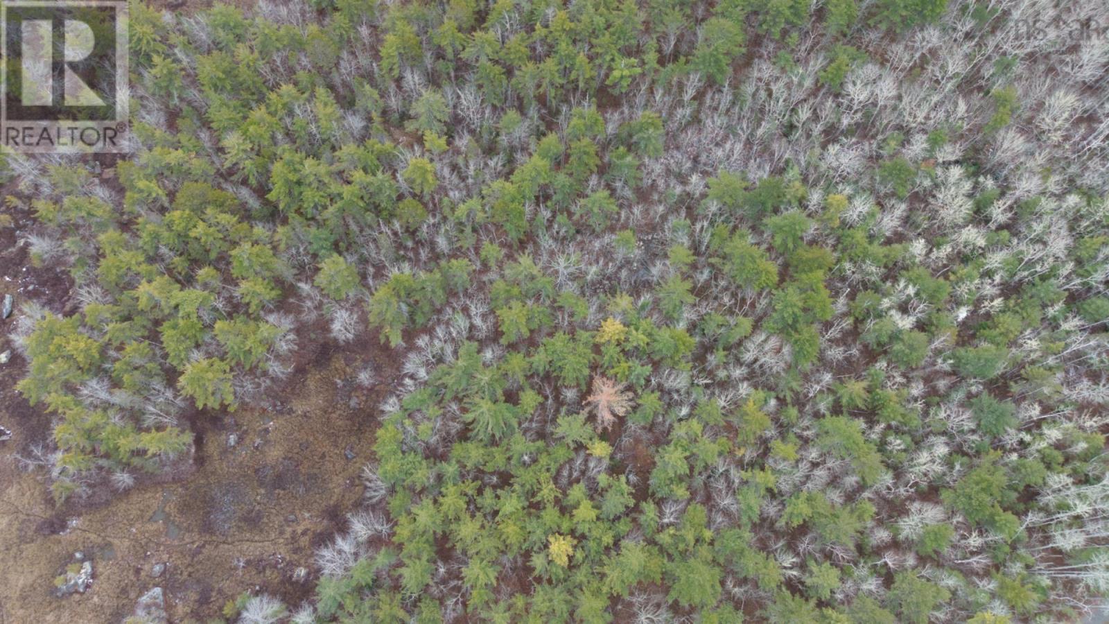 Lot 8 Harbour Acres Road, Molega, Nova Scotia  B0T 1E0 - Photo 35 - 202601262