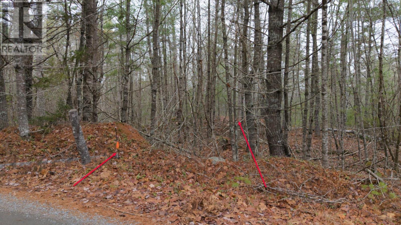 Lot 8 Harbour Acres Road, Molega, Nova Scotia  B0T 1E0 - Photo 44 - 202601262