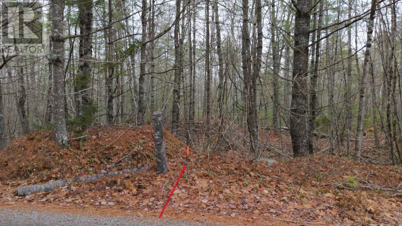 Lot 8 Harbour Acres Road, Molega, Nova Scotia  B0T 1E0 - Photo 45 - 202601262