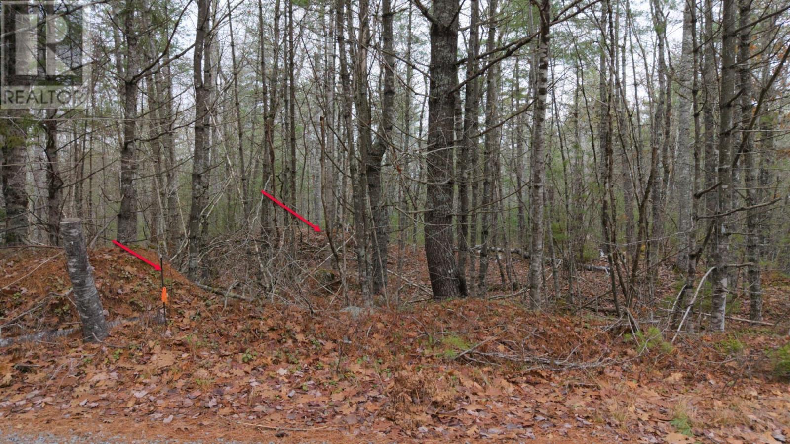 Lot 8 Harbour Acres Road, Molega, Nova Scotia  B0T 1E0 - Photo 46 - 202601262