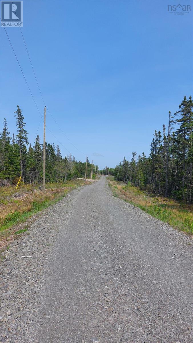 Lot 18 Highway 4, False Bay, Nova Scotia  B0E 1V0 - Photo 20 - 202601357