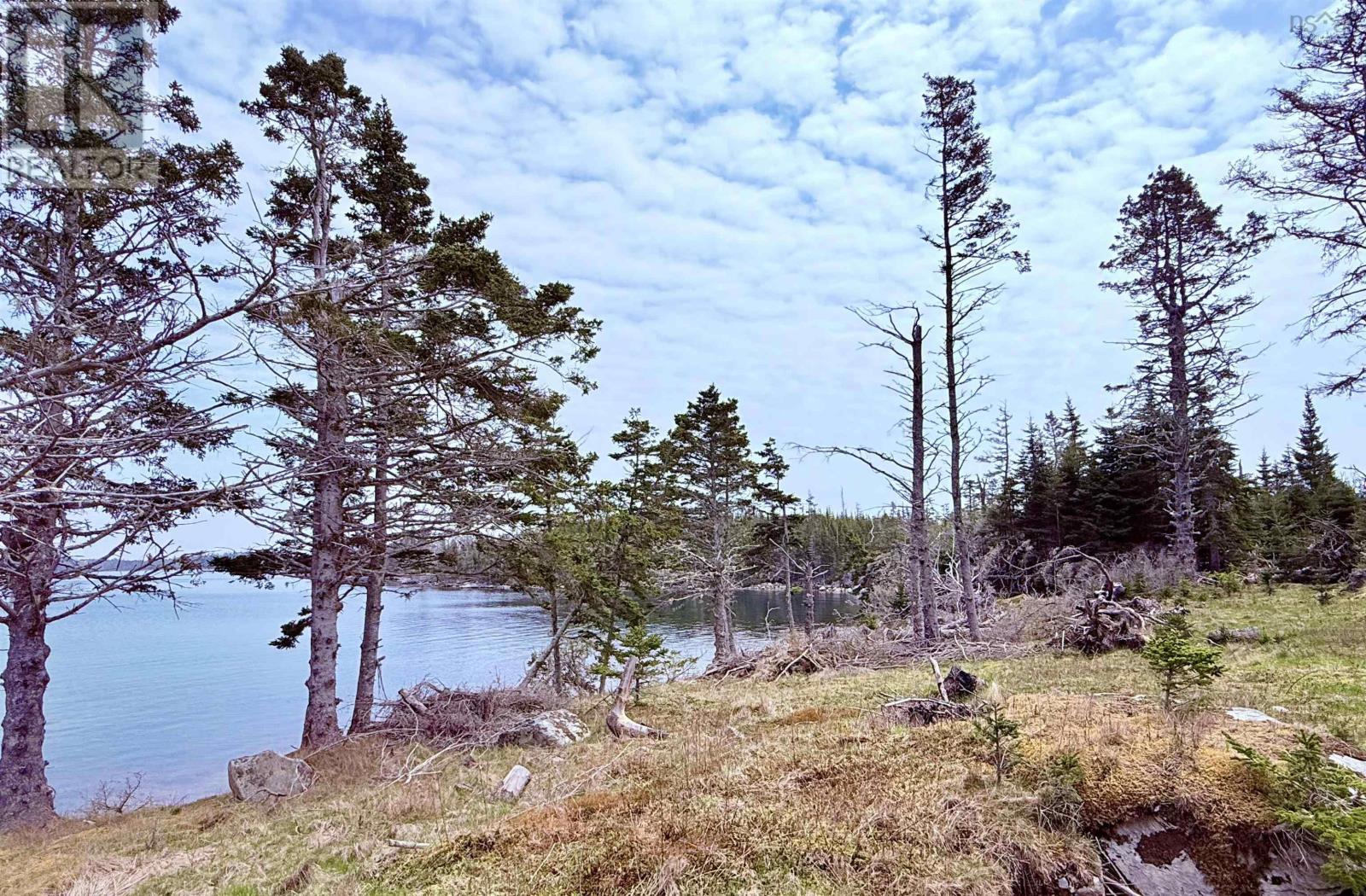 671 South Shore Road, Mitchell Bay, Nova Scotia  B0J 2K0 - Photo 21 - 202601376