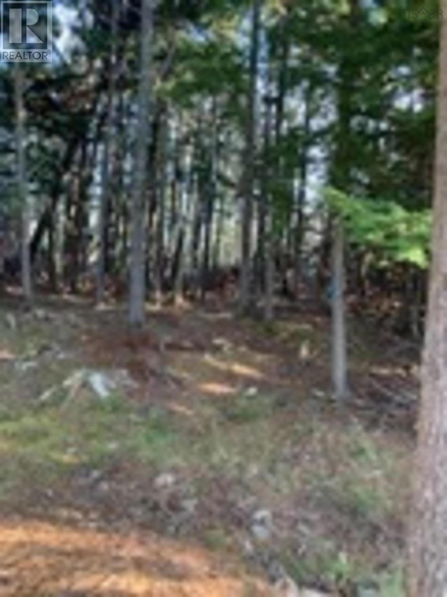 18 Acres Highway 256, West Branch, Nova Scotia  B0K 1R0 - Photo 3 - 202601386